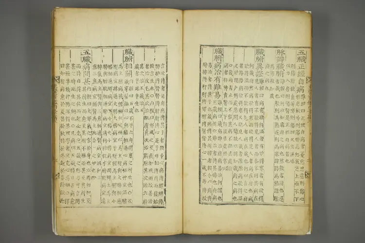 东医宝鉴卷五 东医宝鉴卷五