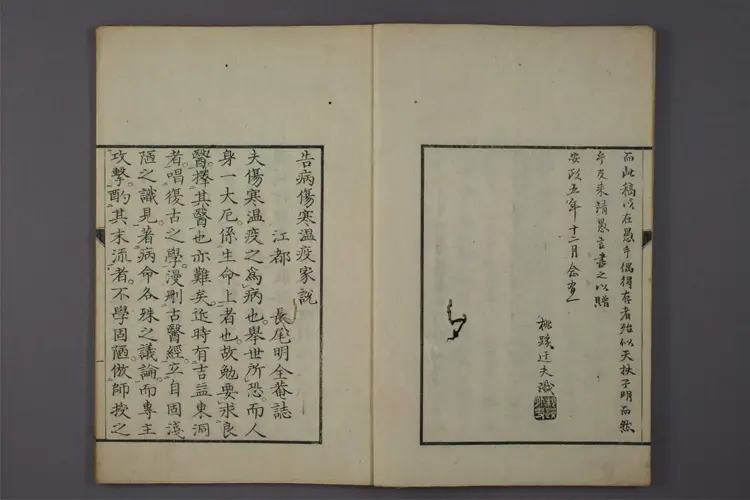 告病伤寒瘟疫家说