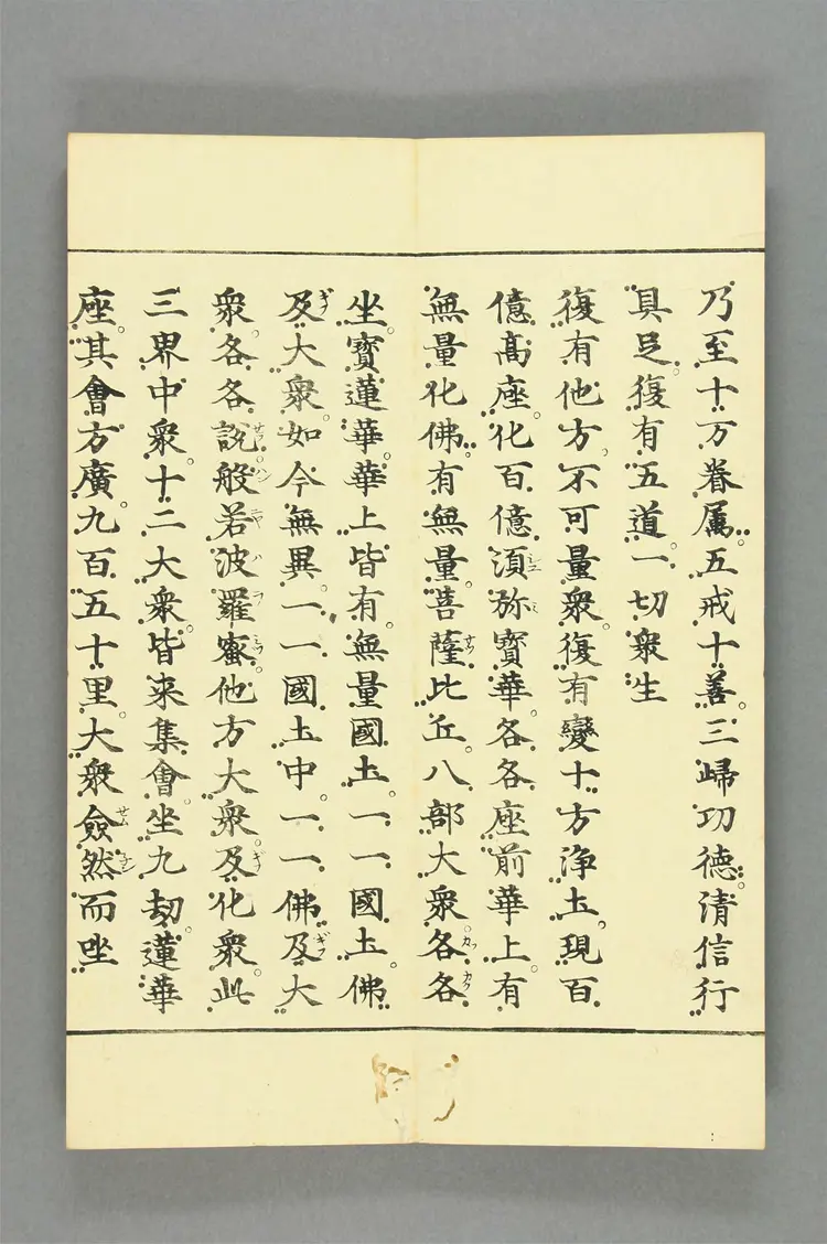 仁王护国般若波罗蜜经.二卷八品 仁王护国般若波罗蜜经.二卷八品