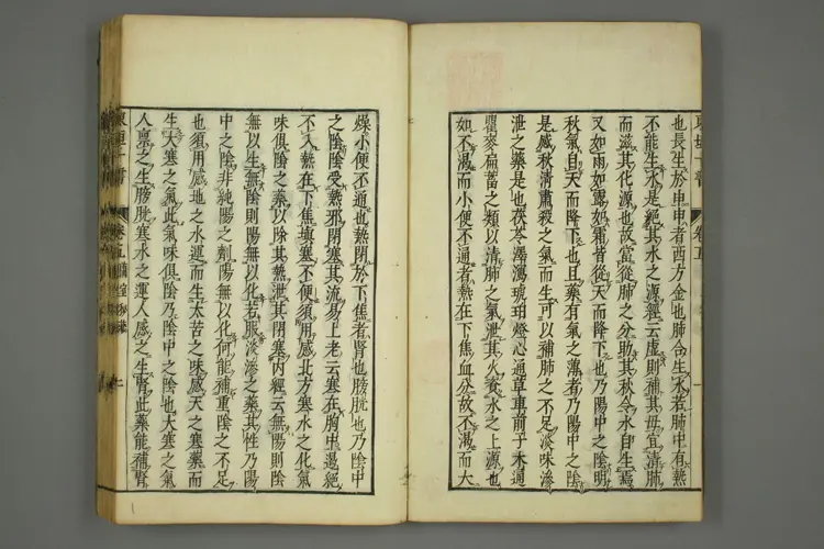 东垣十书卷十六