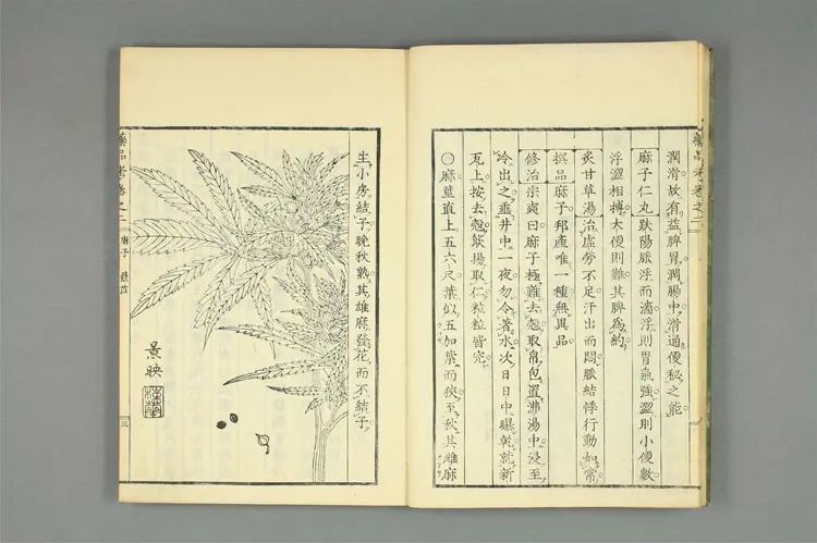 增补古方药品考卷二 增补古方药品考卷二