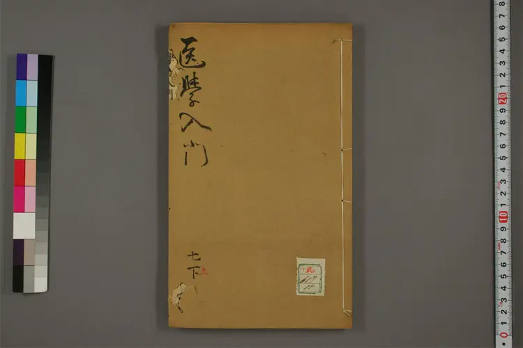 医学入门卷十五