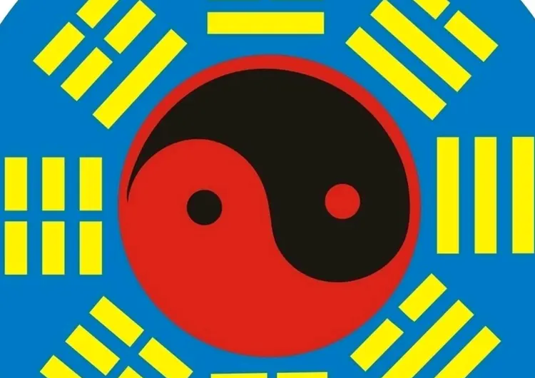 蒋大鸿：插泥剑 地理玉钥匙