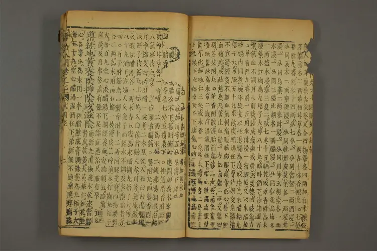 医学入门卷十五