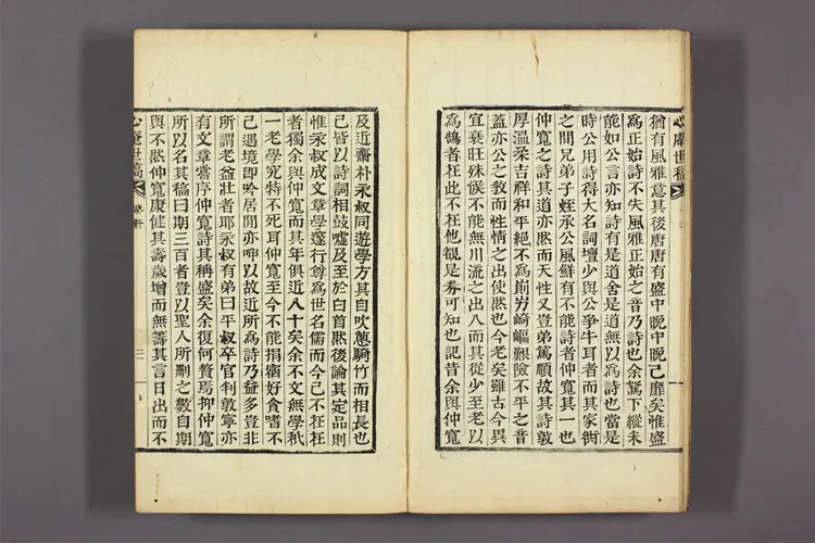 心菴世稿  金仲寛 編