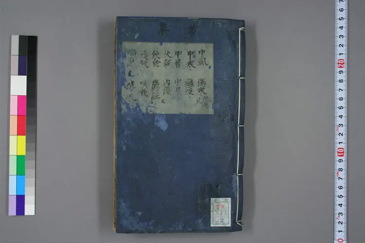 增补万病回春卷二