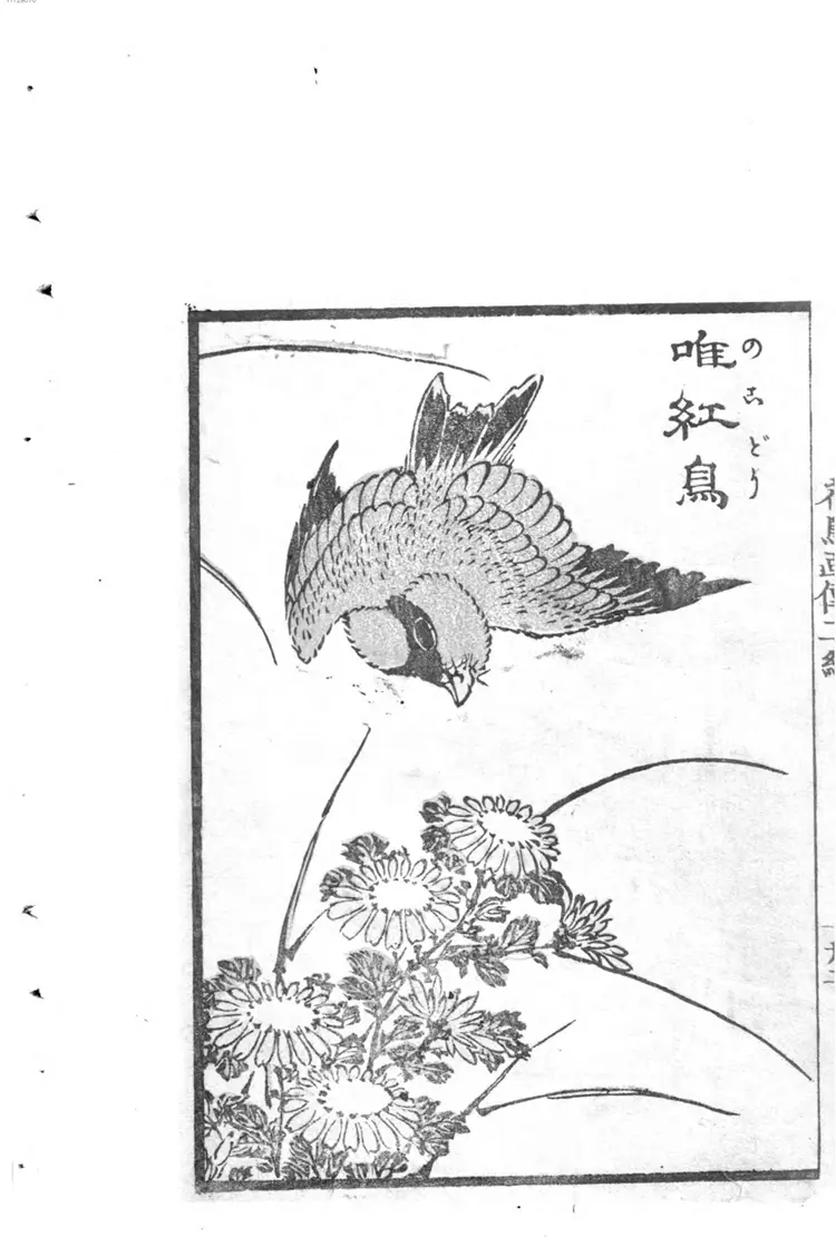 花鸟画传. 2 花鸟画传. 2