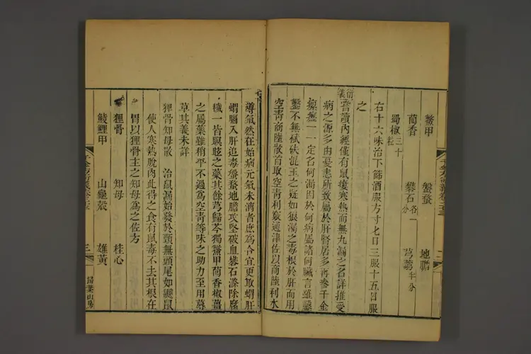 千金方衍义卷三十