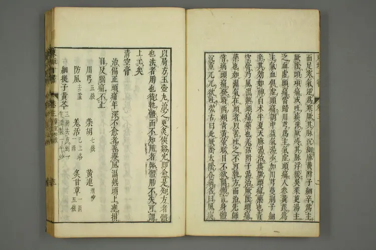 东垣十书卷十五