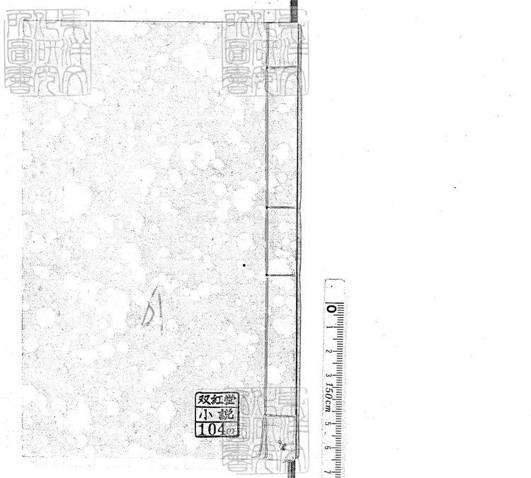 928 新刻歡喜浪史十二回　清刊本