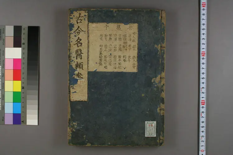 古今名医类案卷十一