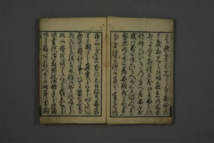 病家示训 病家示训