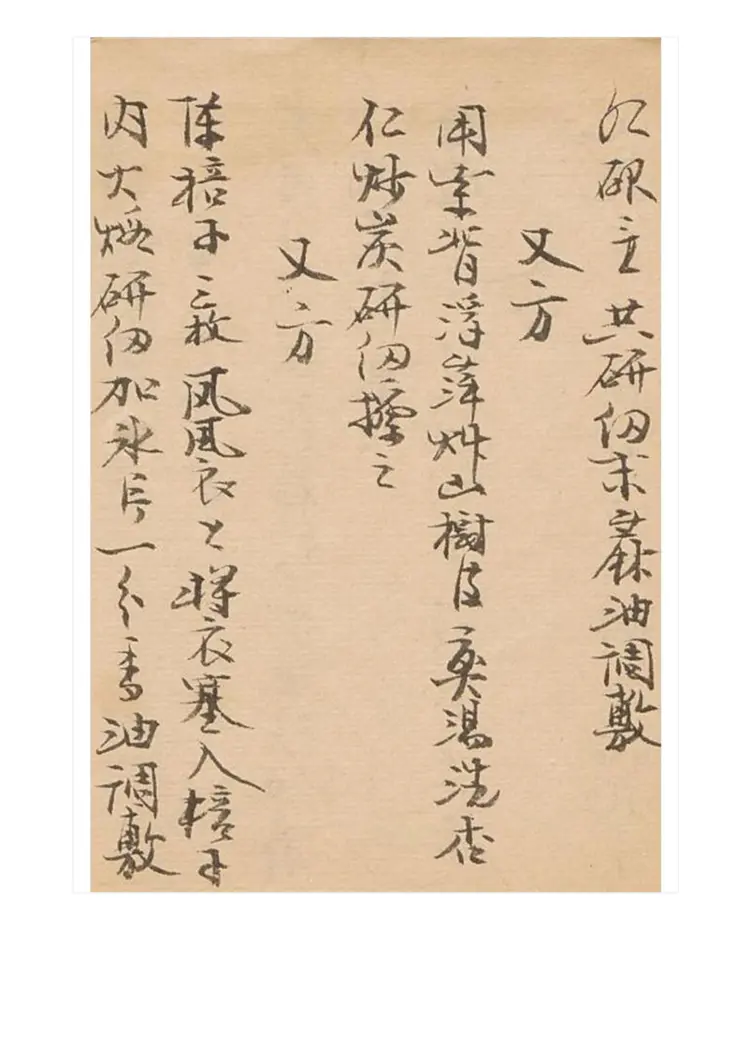 梦梅氏丹方秘要48页