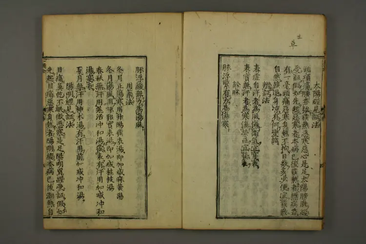 伤寒六书(卷五一提金,卷六截江纲) 伤寒六书(卷五一提金,卷六截江纲)