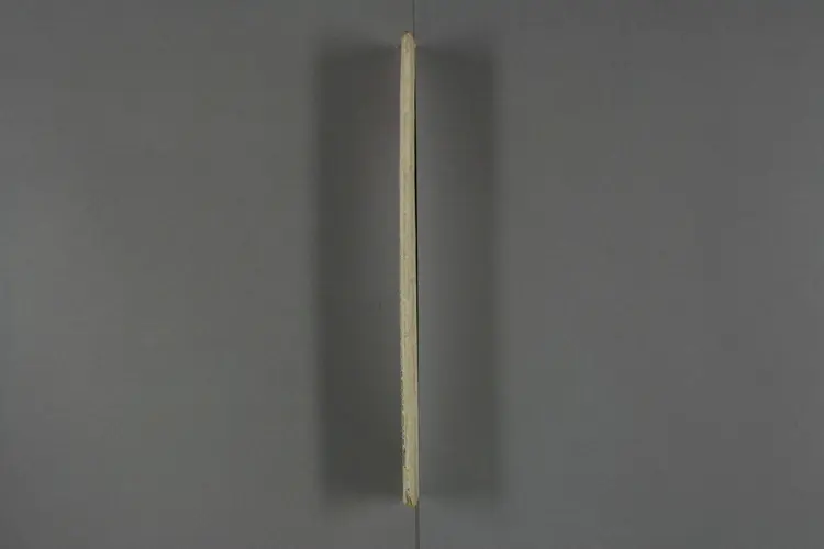 [日]国民必読征清愉快武志  金子佐治郎編