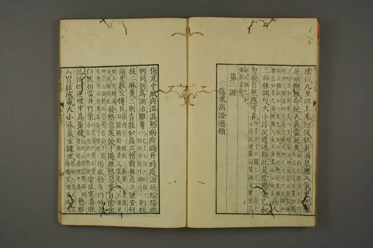 伤寒百证卷二 伤寒百证卷二