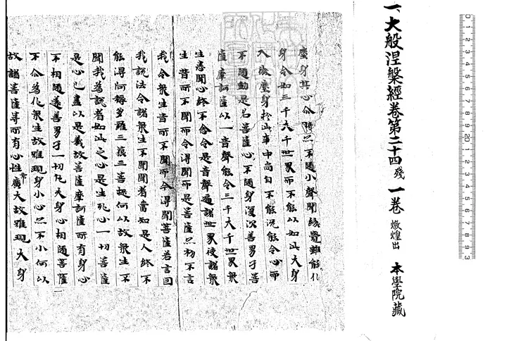 497 大般涅槃經殘一卷　日本南北朝鈔本