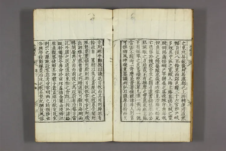 泛翁集 卷之1-6,附录  洪柱国著