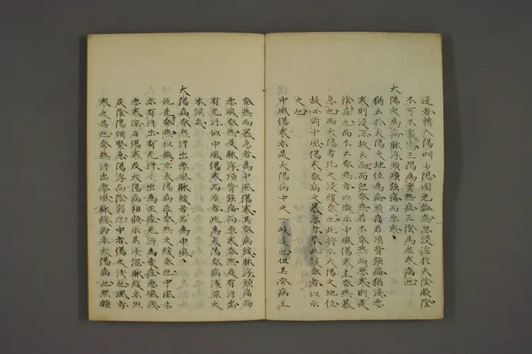 伤寒论齐子传卷一