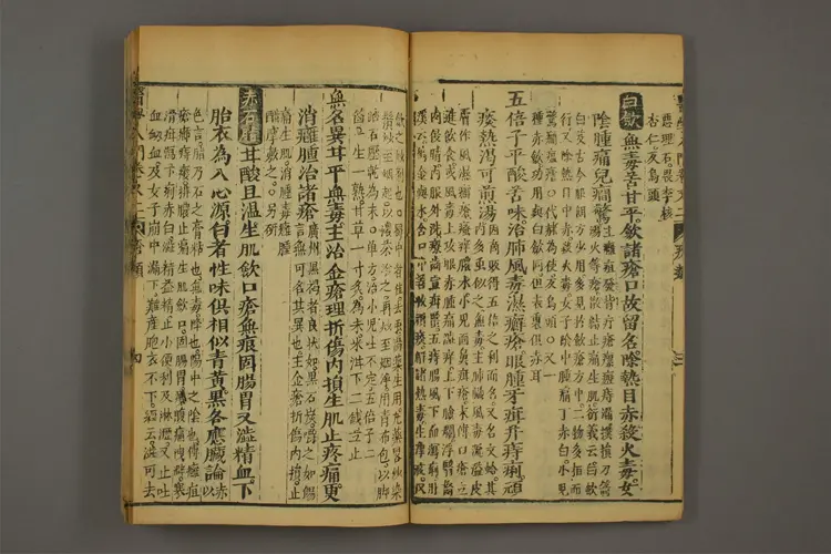 医学入门卷七 医学入门卷七