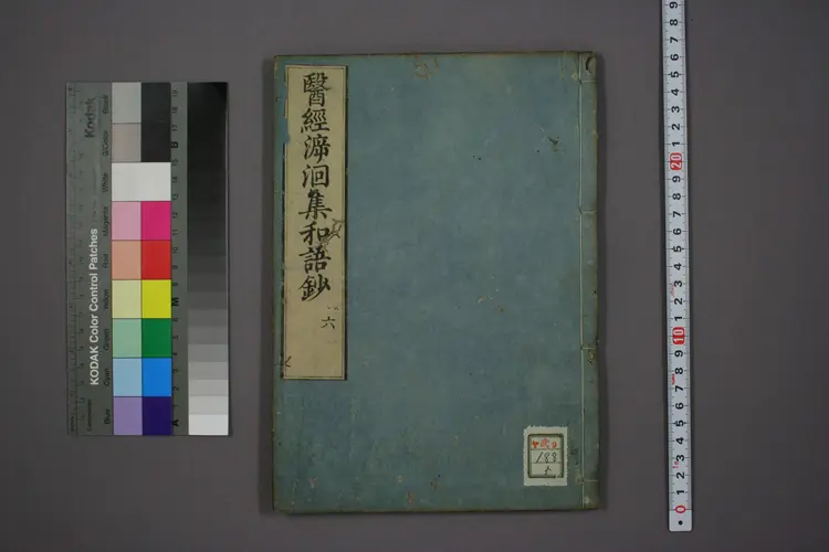 医经溯洄集和语钞卷六