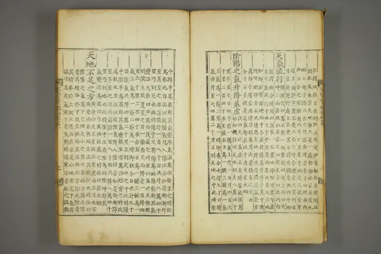 东医宝鉴卷十一 东医宝鉴卷十一