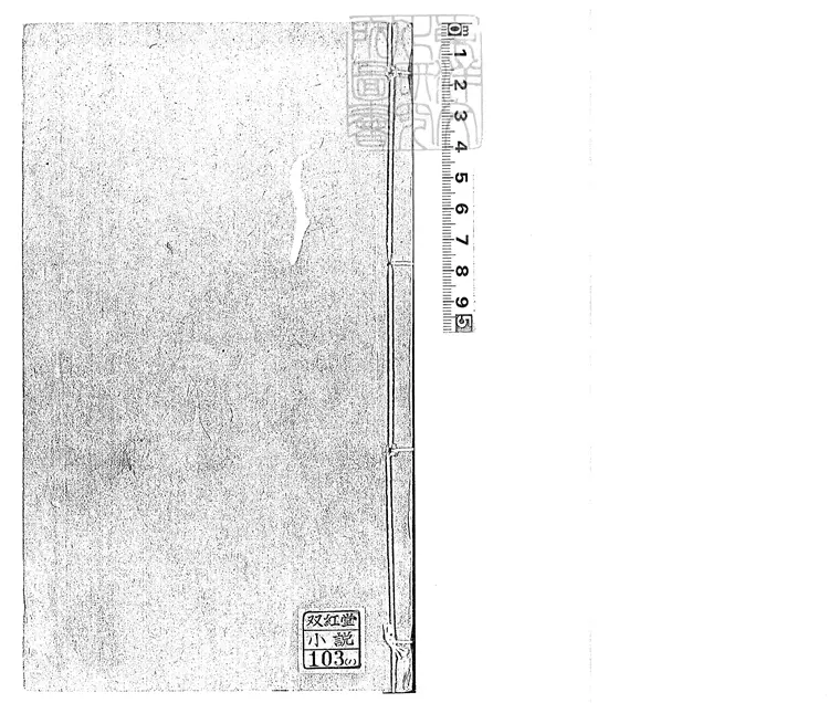 927 新鐫批評繡像鬧花叢快史十二回　清刊本