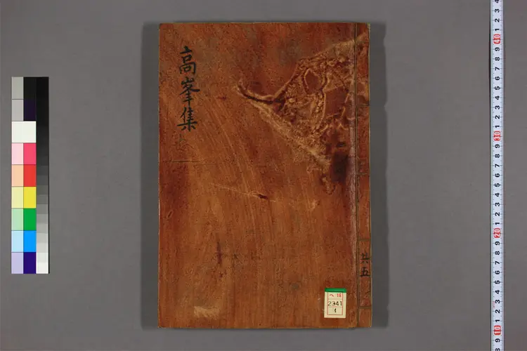 高峯先生集  竒大升撰