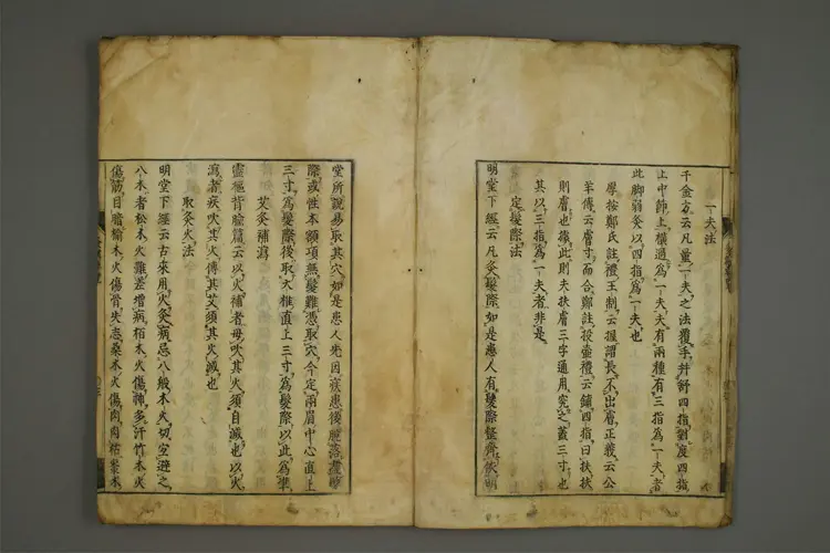 灸焫要览 灸焫要览