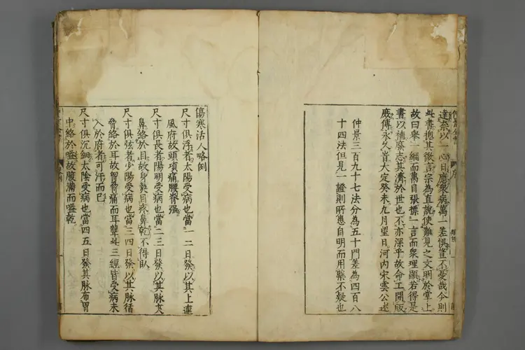 伤寒类证 伤寒类证