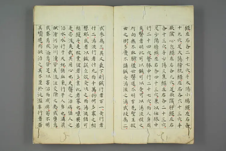 十四经发挥朝鲜版