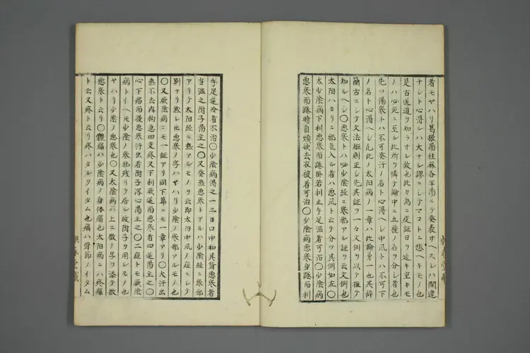 伤寒五种传卷九 伤寒五种传卷九