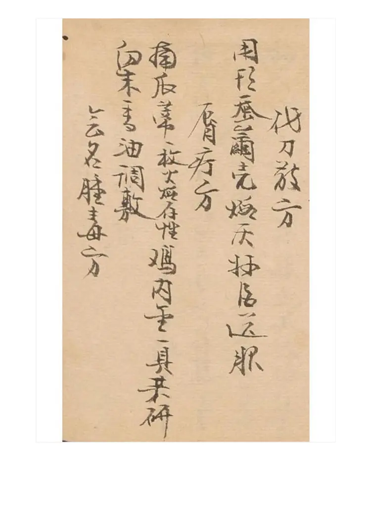 梦梅氏丹方秘要48页