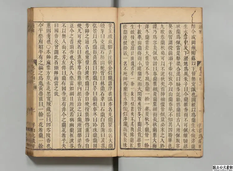 通雅 選者方以智(清)/校訂者姚文(清)清浮山此蔵軒刊本 通雅 選者方以智(清)/校訂者姚文(清)清浮山此蔵軒刊本