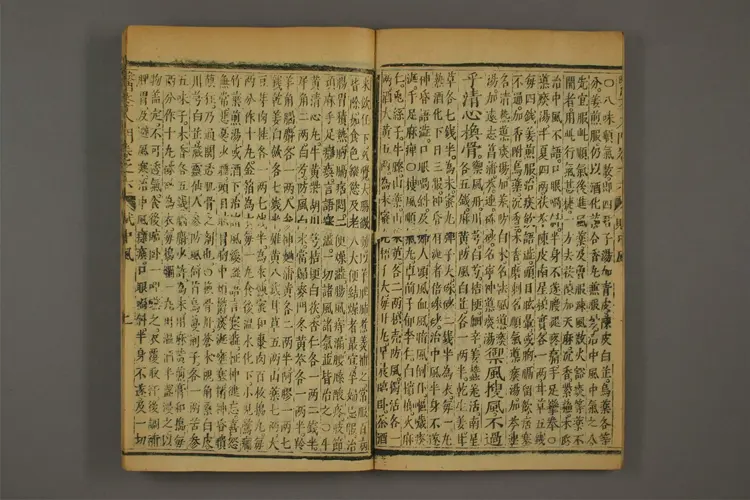 医学入门卷十三 医学入门卷十三