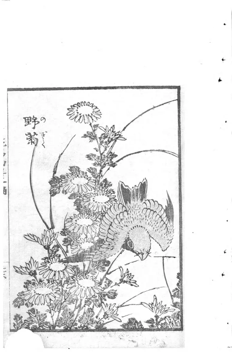 花鸟画传. 2 花鸟画传. 2