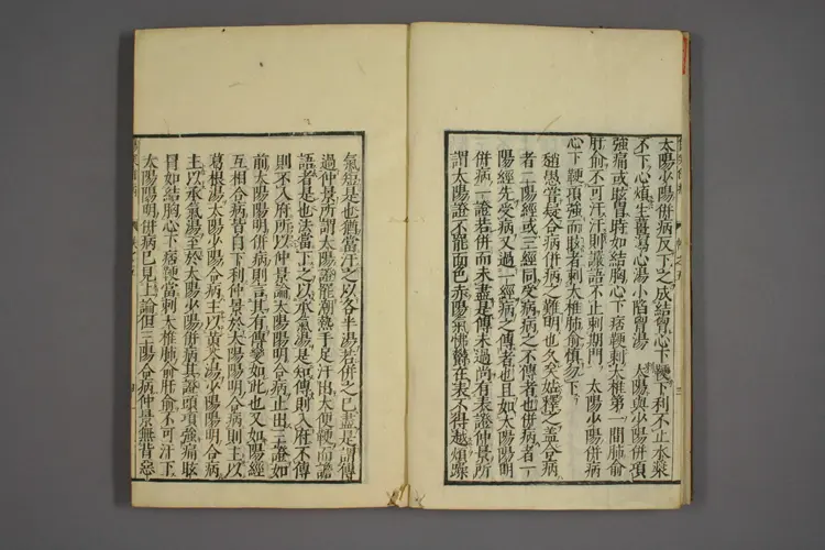 伤寒证治准绳卷五 伤寒证治准绳卷五