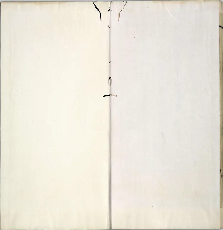 图注八十一难经.八卷.明.张世贤撰.明正德五年扬州吕邦佑刊本 图注八十一难经.八卷.明.张世贤撰.明正德五年扬州吕邦佑刊本