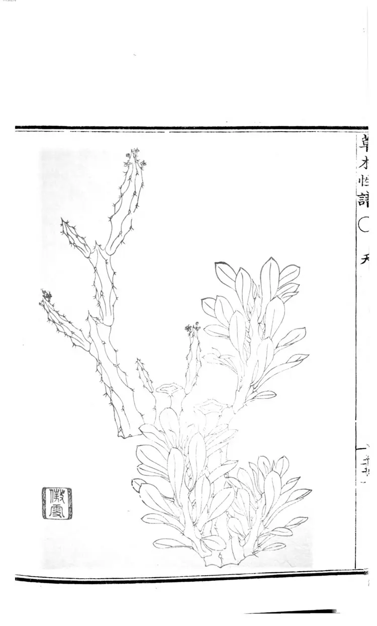 草木性谱 草木性谱