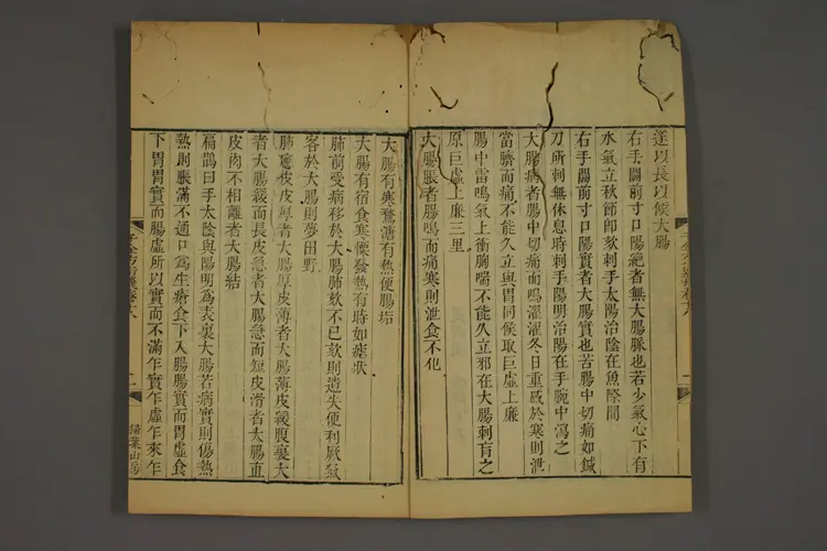 千金方衍义卷二十四