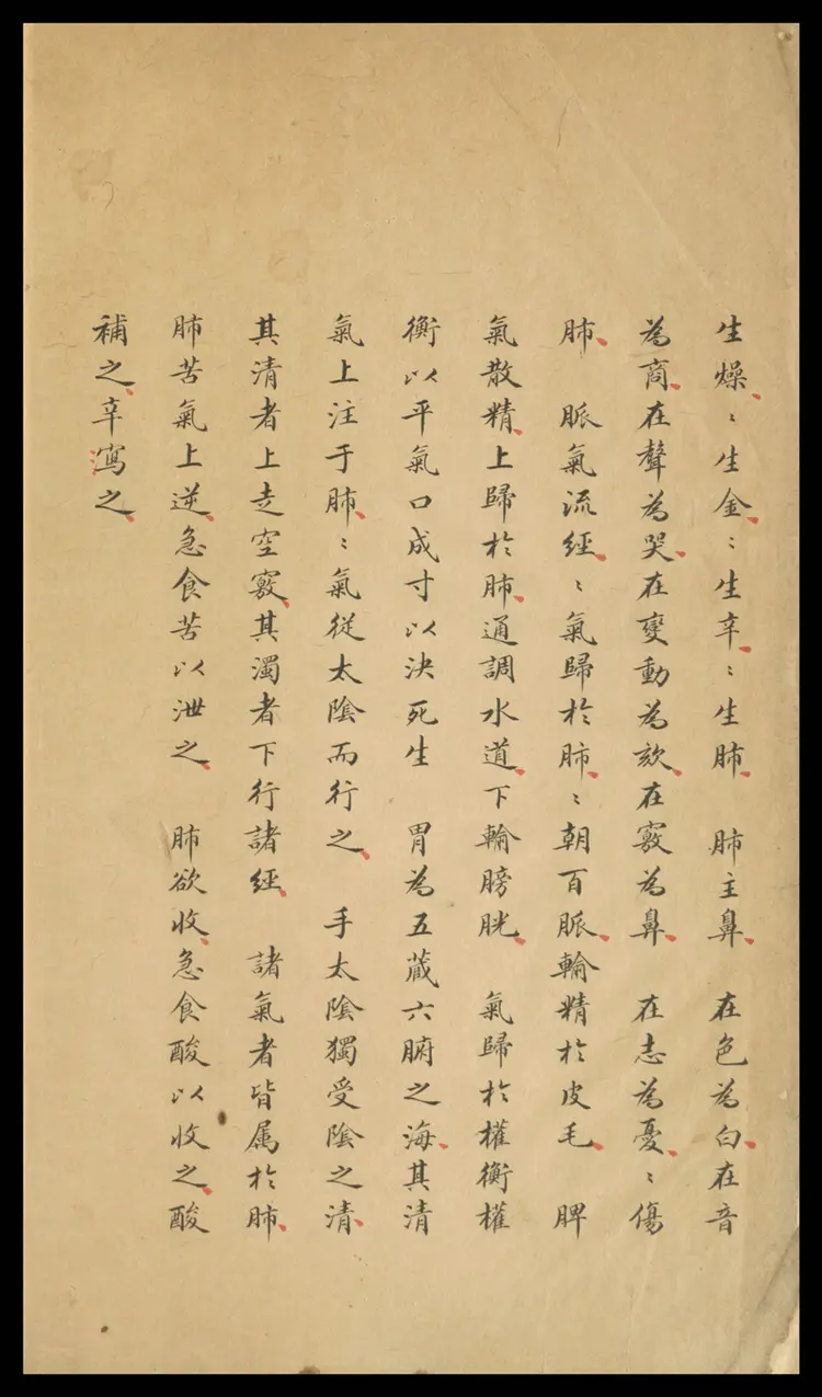 十四经穴歌.1卷.钞本.清代