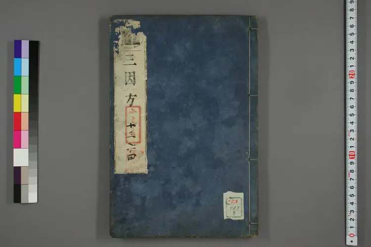 三因极一病证方论卷十三、十四