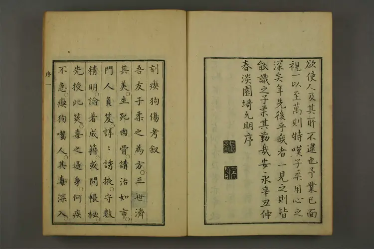 吃狗伤考 吃狗伤考