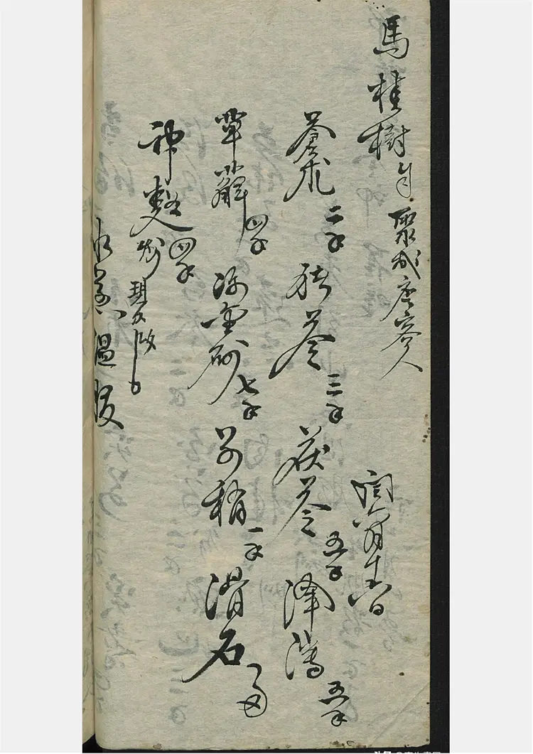 刘氏手到生春 刘氏手到生春