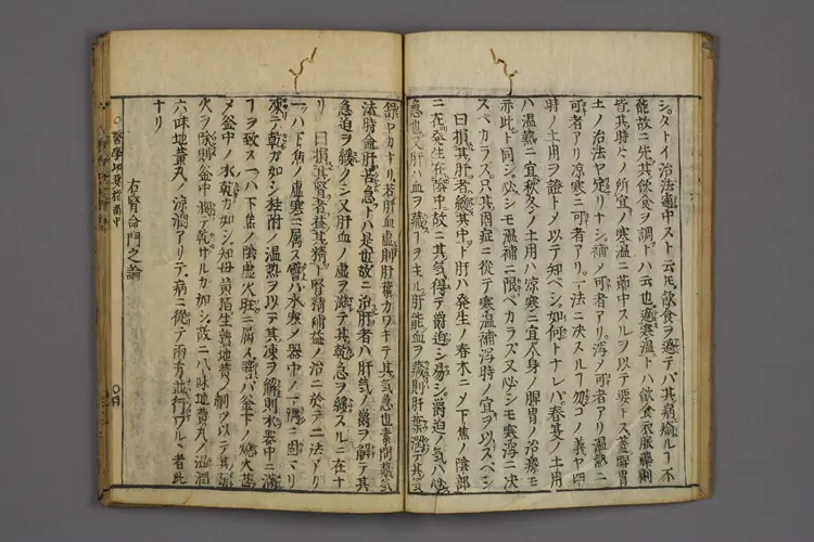 医学切要指南中卷 医学切要指南中卷