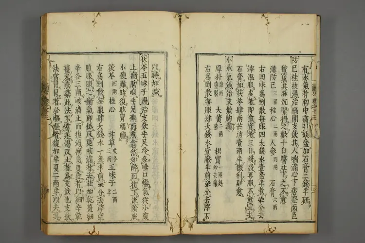 三因极一病证方论卷十三、十四