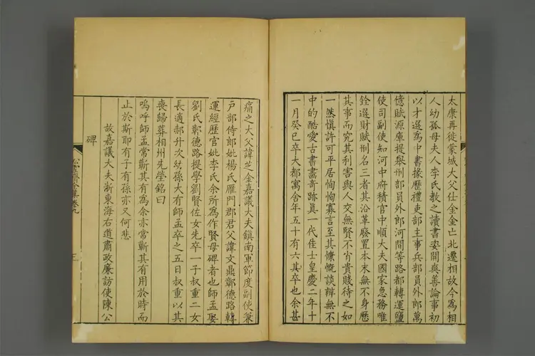 趙文敏公松雪斎{4b3322}集 卷1-10,外集,続集  趙孟{234f34}撰