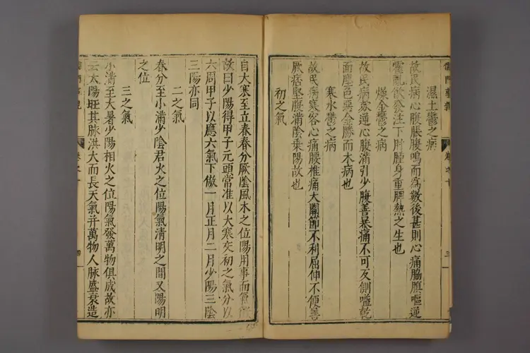 儒门事亲卷四 儒门事亲卷四