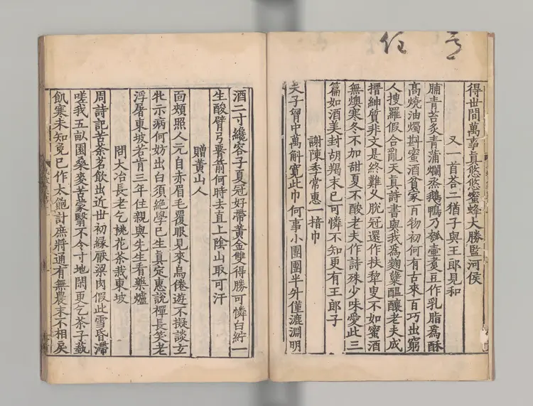 東坡集 著者蘇軾（宋）宋刊本0101