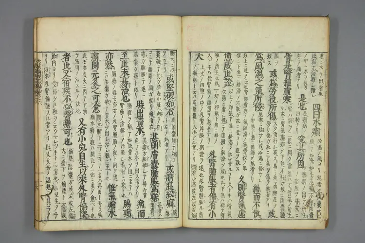 医方大成论和语抄卷六 医方大成论和语抄卷六